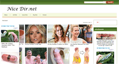 Desktop Screenshot of nicedir.net